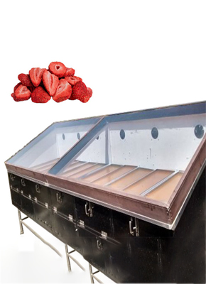 Solar Dryer